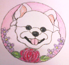 �y�b�g�Q�|�Q