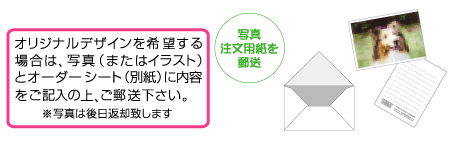 �y�b�g�̃X�e���h�O���X�P